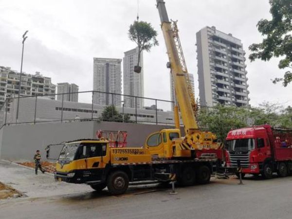 信阳市吊车租赁公司_好的吊车出租公司需要具备